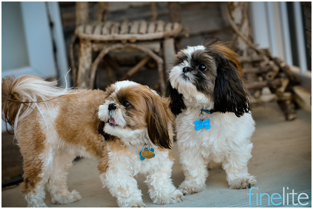 blog-6446 blog-6446