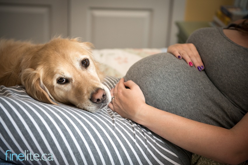 Lifestyle Maternity